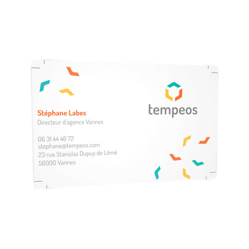 Cartes de visite Tempeos